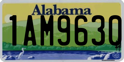 AL license plate 1AM9630