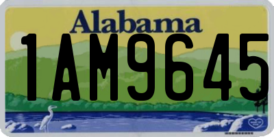 AL license plate 1AM9645