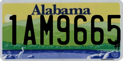 AL license plate 1AM9665