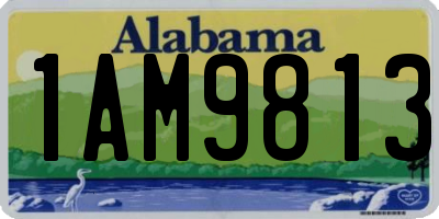 AL license plate 1AM9813