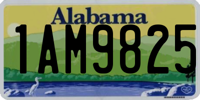 AL license plate 1AM9825