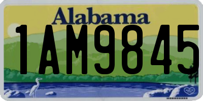 AL license plate 1AM9845