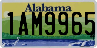 AL license plate 1AM9965