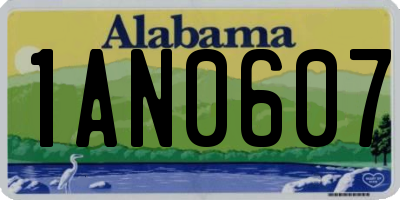 AL license plate 1AN0607