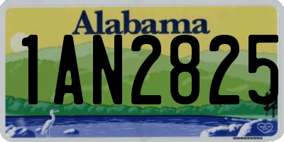 AL license plate 1AN2825