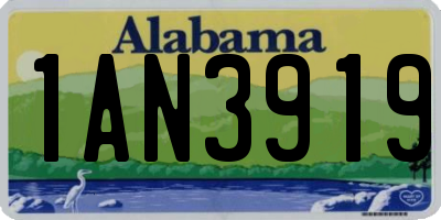 AL license plate 1AN3919