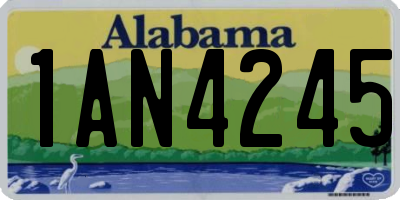 AL license plate 1AN4245