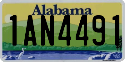 AL license plate 1AN4491