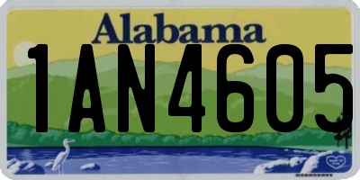 AL license plate 1AN4605