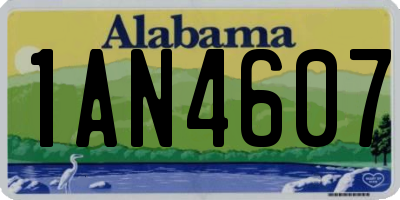 AL license plate 1AN4607