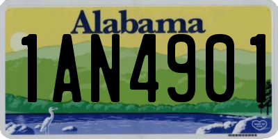 AL license plate 1AN4901