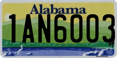AL license plate 1AN6003