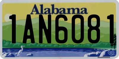 AL license plate 1AN6081