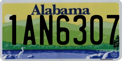 AL license plate 1AN6307