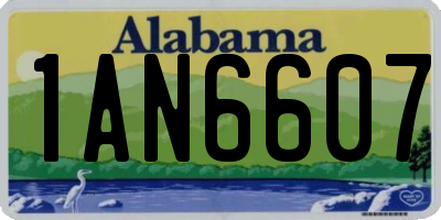 AL license plate 1AN6607