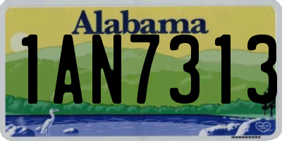 AL license plate 1AN7313