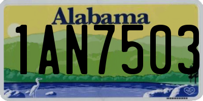 AL license plate 1AN7503
