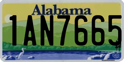 AL license plate 1AN7665