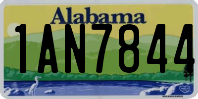 AL license plate 1AN7844