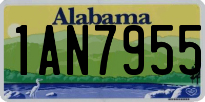 AL license plate 1AN7955