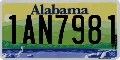 AL license plate 1AN7981