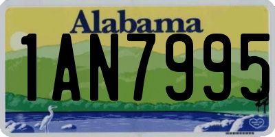 AL license plate 1AN7995