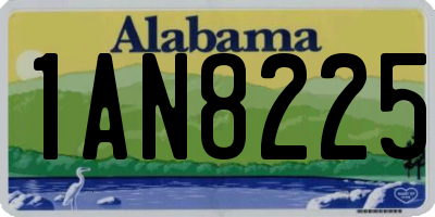 AL license plate 1AN8225