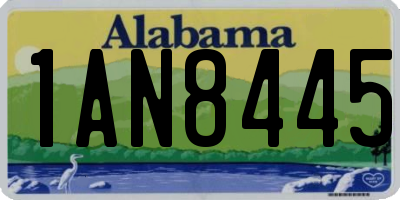 AL license plate 1AN8445