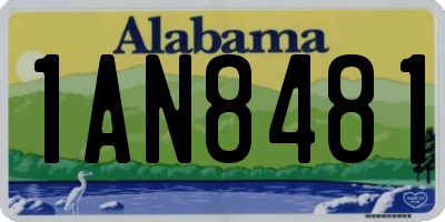 AL license plate 1AN8481