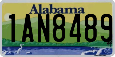 AL license plate 1AN8489