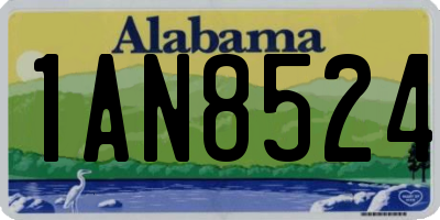 AL license plate 1AN8524