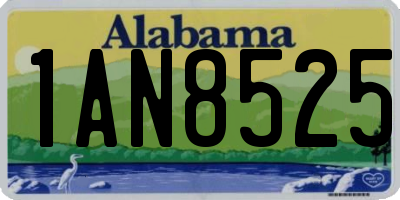 AL license plate 1AN8525