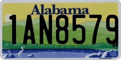 AL license plate 1AN8579