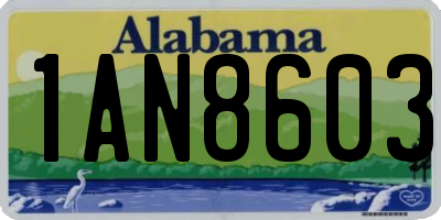 AL license plate 1AN8603