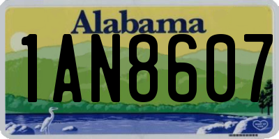 AL license plate 1AN8607