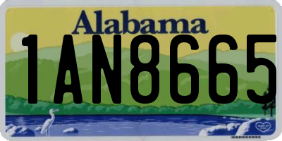 AL license plate 1AN8665