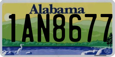 AL license plate 1AN8677