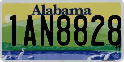AL license plate 1AN8828