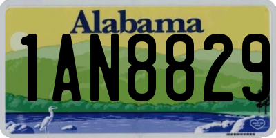 AL license plate 1AN8829