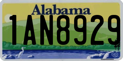 AL license plate 1AN8929