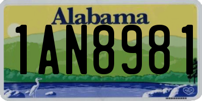 AL license plate 1AN8981