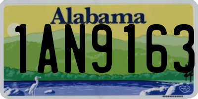 AL license plate 1AN9163