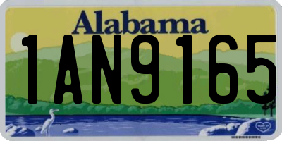 AL license plate 1AN9165