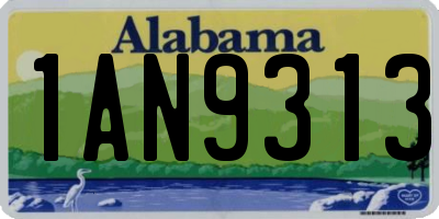 AL license plate 1AN9313