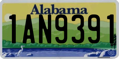 AL license plate 1AN9391