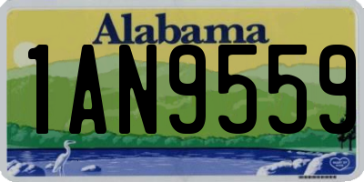 AL license plate 1AN9559