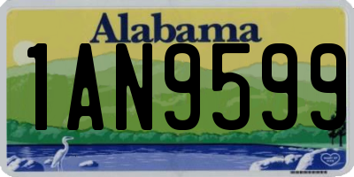 AL license plate 1AN9599