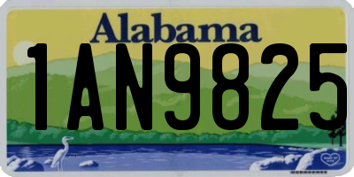 AL license plate 1AN9825