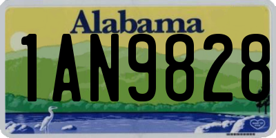 AL license plate 1AN9828