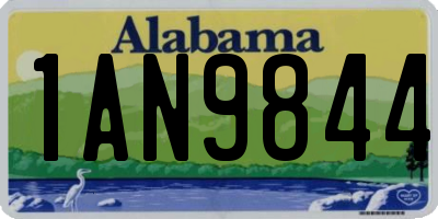 AL license plate 1AN9844
